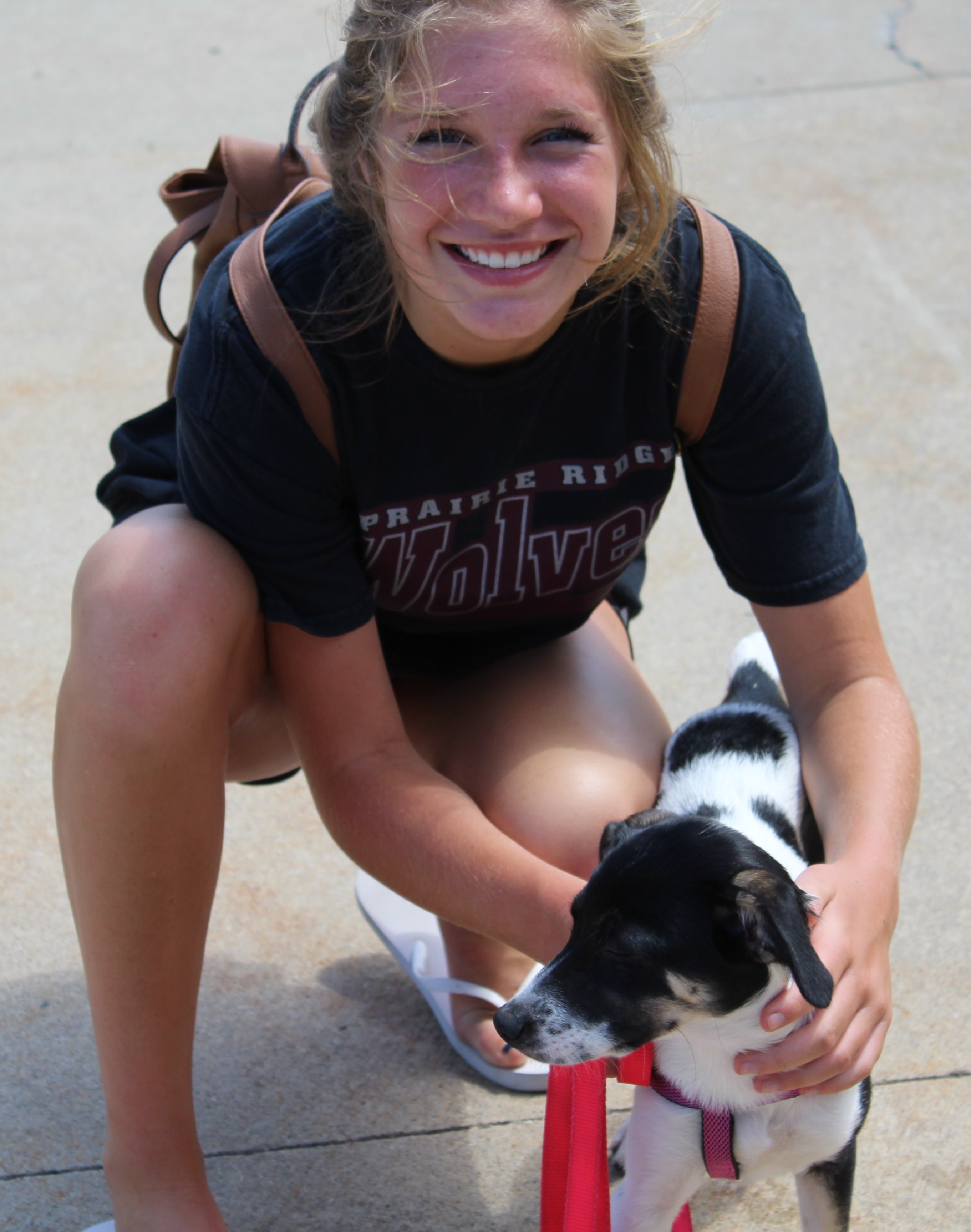 Photo 1 from ON ANGELS WINGS INC